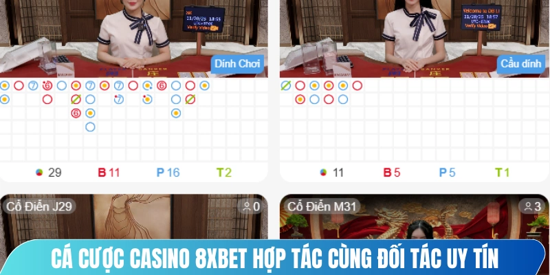 Cá cược casino 8XBET hợp tác cùng đối tác uy tín