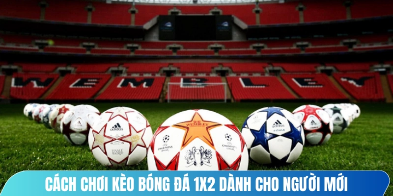 Cách chơi kèo bóng đá 1x2 dành cho người mới