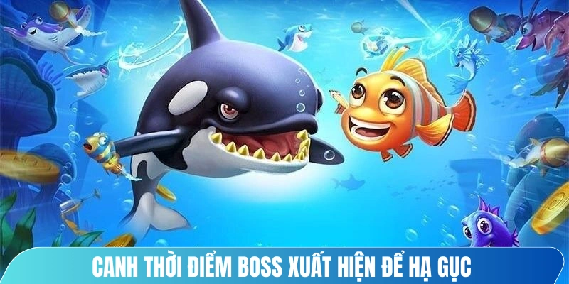 Canh thời điểm boss xuất hiện để hạ gục và nhận được nhiều thưởng lớn