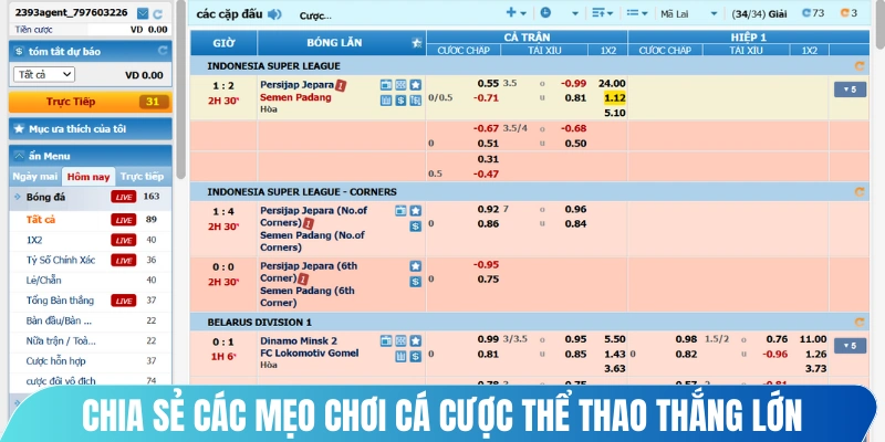 Chia sẻ các mẹo chơi cá cược thể thao thắng lớn bạn nên biết 