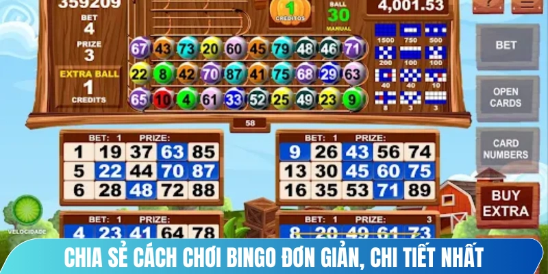 Chia sẻ cách chơi Bingo đơn giản, chi tiết nhất cho anh em