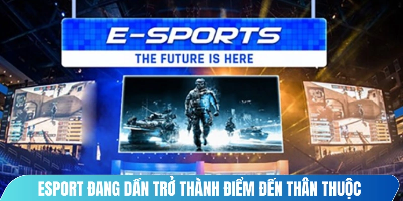 Esport đang dần trở thành điểm đến thân thuộc trong cộng đồng yêu thích cá cược 