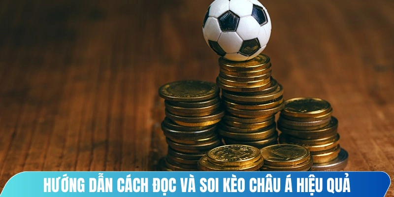 Hướng dẫn cách đọc và soi kèo châu Á hiệu quả