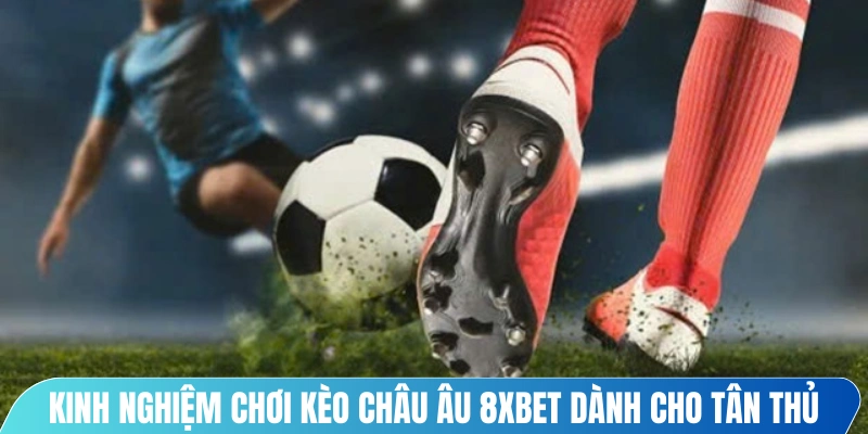 Kinh nghiệm chơi kèo châu Âu 8XBET dành cho tân thủ