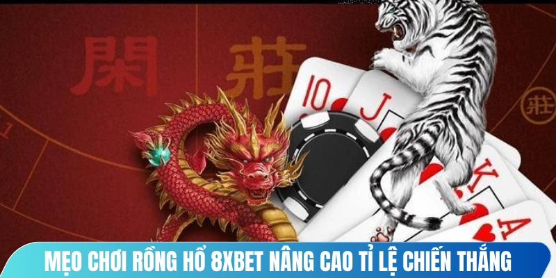 Mẹo chơi rồng hổ 8XBET nâng cao tỉ lệ chiến thắng