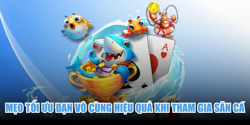 Mẹo Tối Ưu Đạn