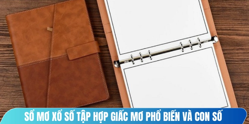 Sổ mơ xổ số là tập hợp các giấc mơ phổ biến và con số tương ứng