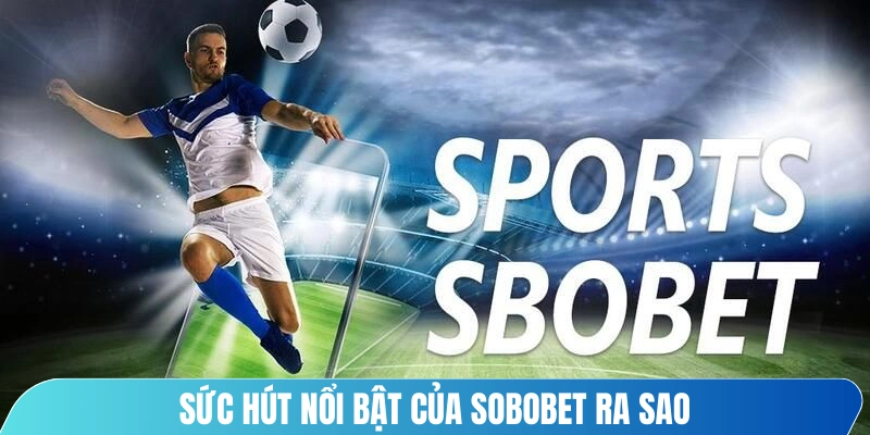 Sức hút nổi bật của Sobobet ra sao