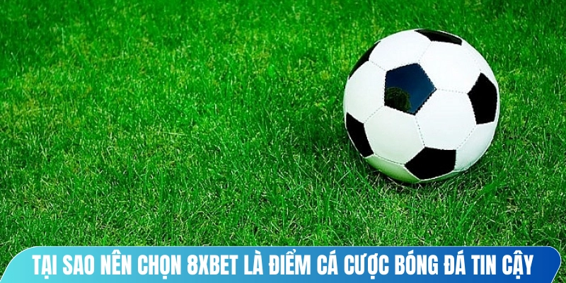 Tại sao nên chọn 8XBET là điểm cá cược bóng đá tin cậy