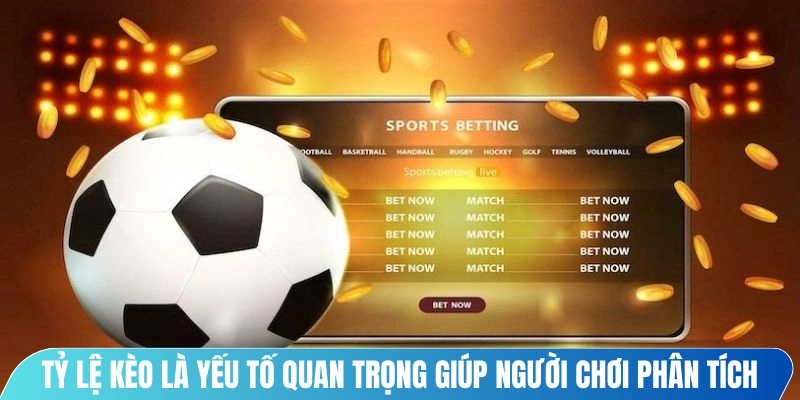 Tỷ lệ kèo là yếu tố quan trọng giúp người chơi phân tích trận đấu hiệu quả