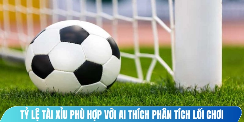 Tỷ lệ tài xỉu rất phù hợp với những ai thích phân tích lối chơi